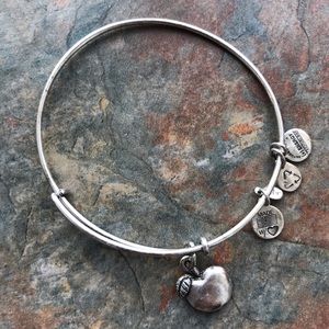 Silver Alex and Ani Apple Charm Bangle